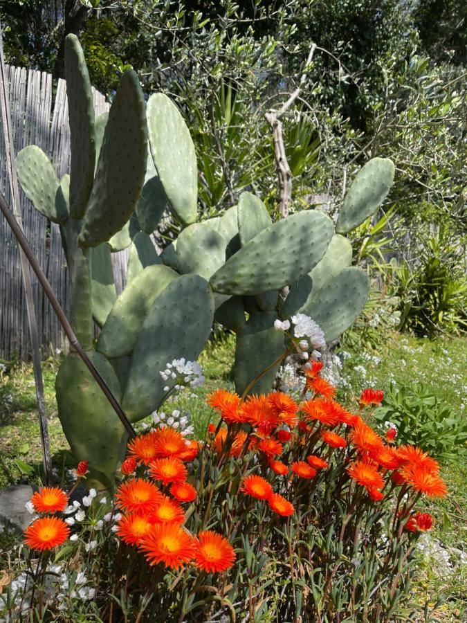 Villa Paolo Lemon Tree Porto Venere Luaran gambar