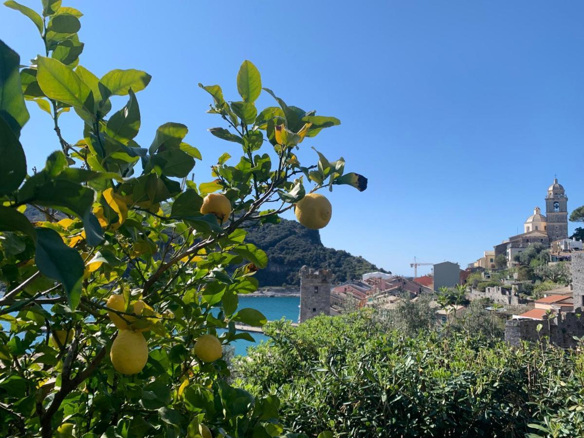 Villa Paolo Lemon Tree Porto Venere Luaran gambar